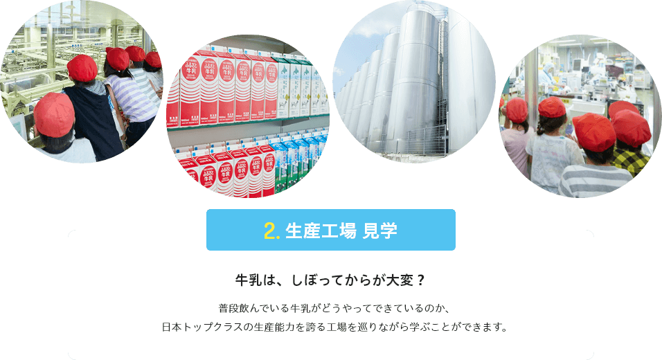 
                             牛乳は、しぼってからが大変？
                             普段飲んでいる牛乳がどうやってできているのか、日本トップクラスの生産能力を誇る工場を巡りながら学ぶことができます。
